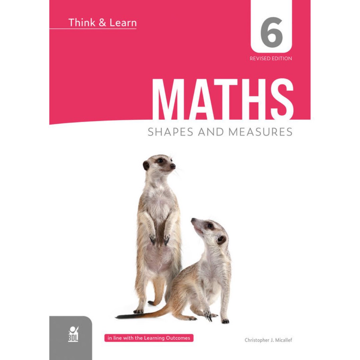 Think & Learn - Maths Year 6 - Shapes And Measures