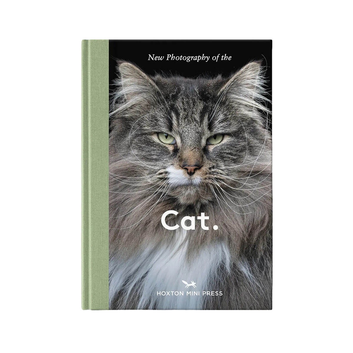 Cat. by Lucy Davies