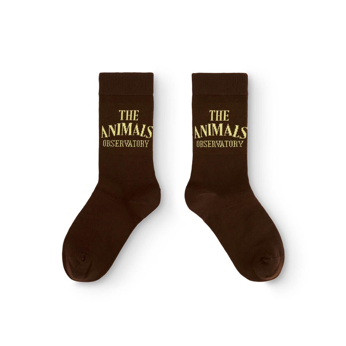 Snail Kid Socks in Brown by The Animals Observatory