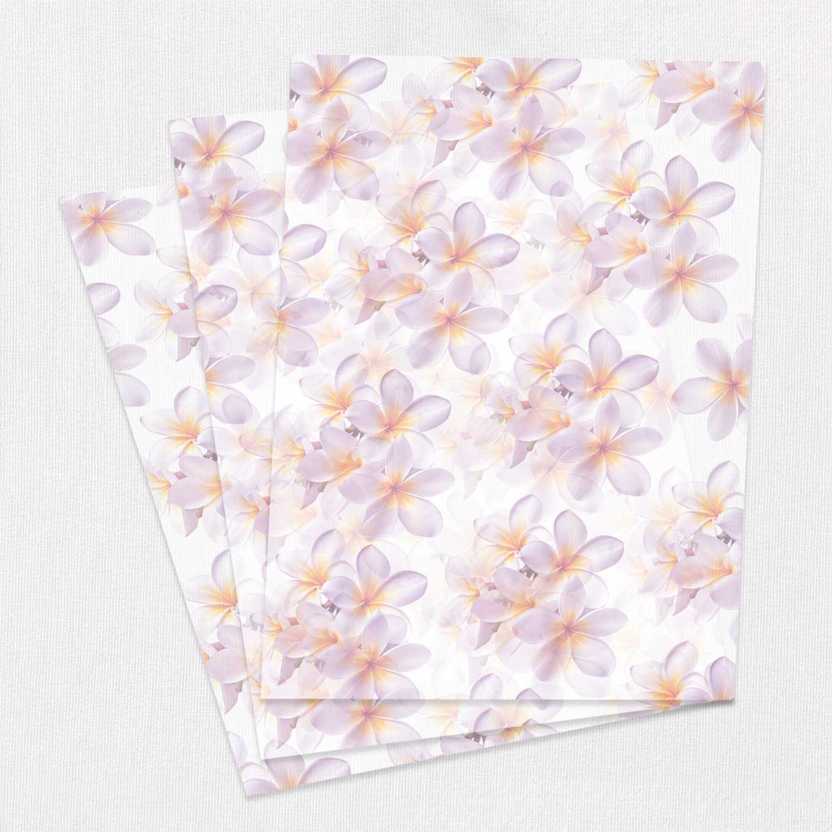 Vellum OverLay Print