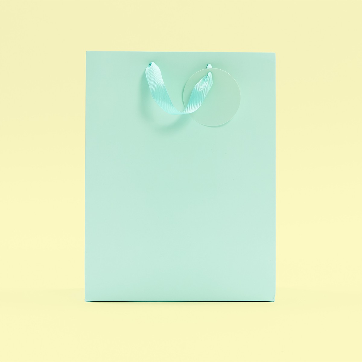 Mint Green Large Gift Bag