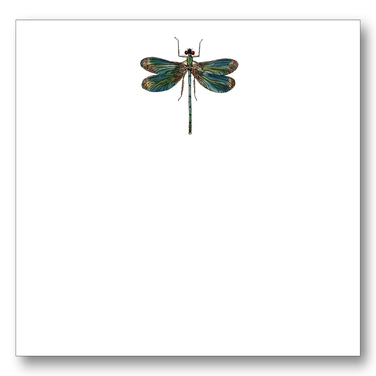 Dragonfly Note Card