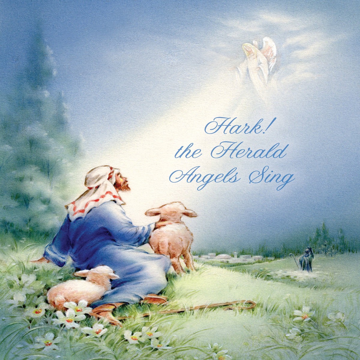 FRSBX960 Christmas Card Set