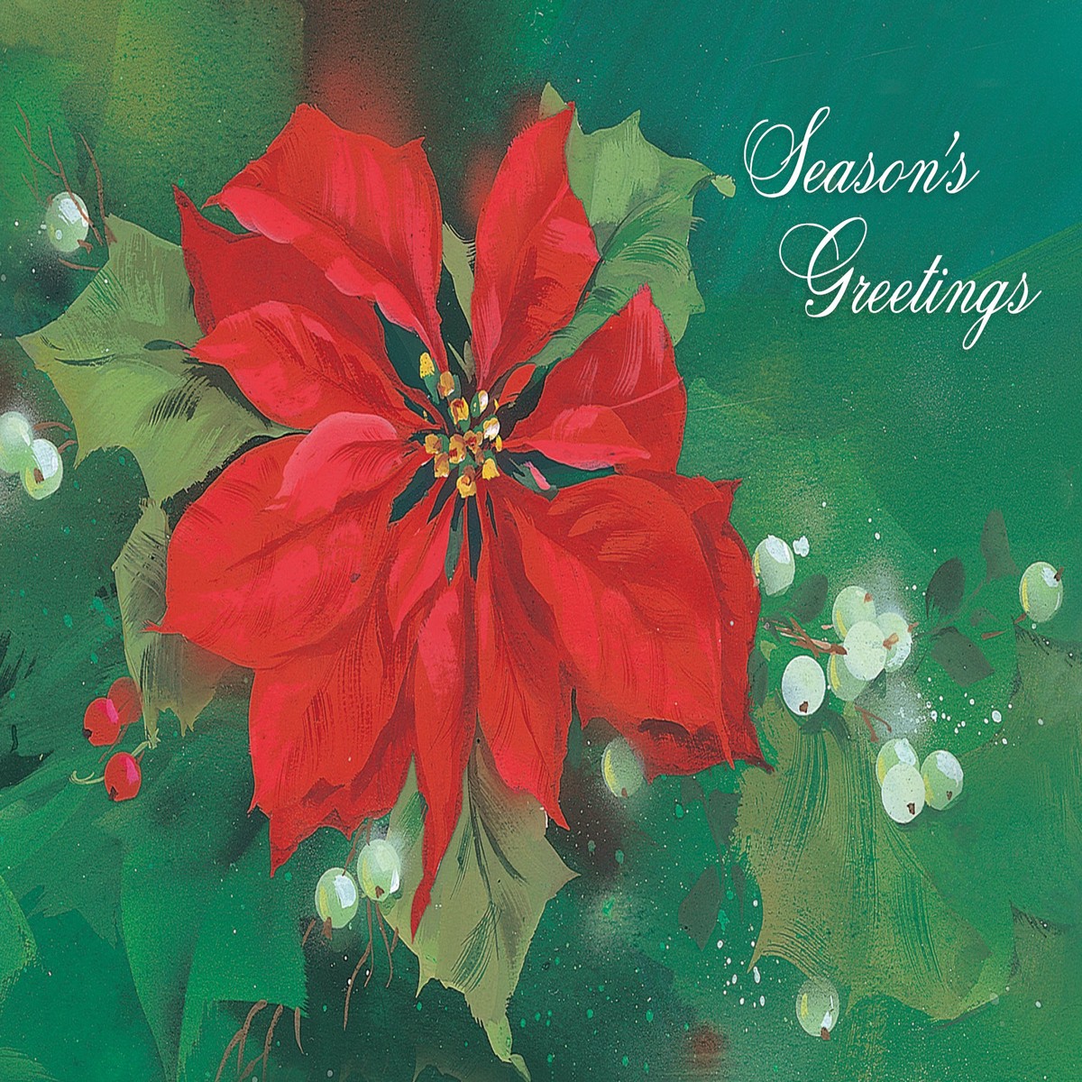 FRSBX255 Christmas Card Set