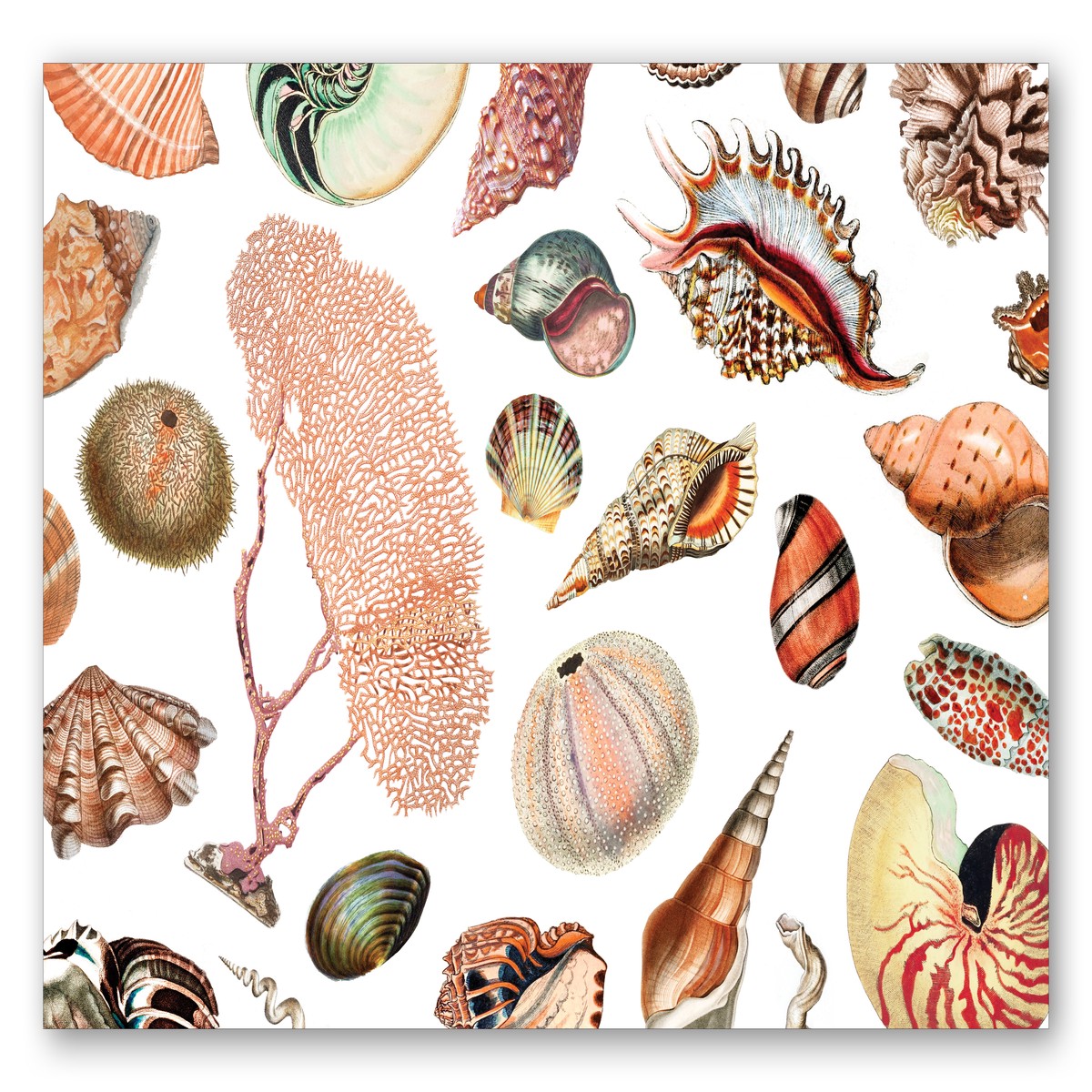 Seashells Placemat