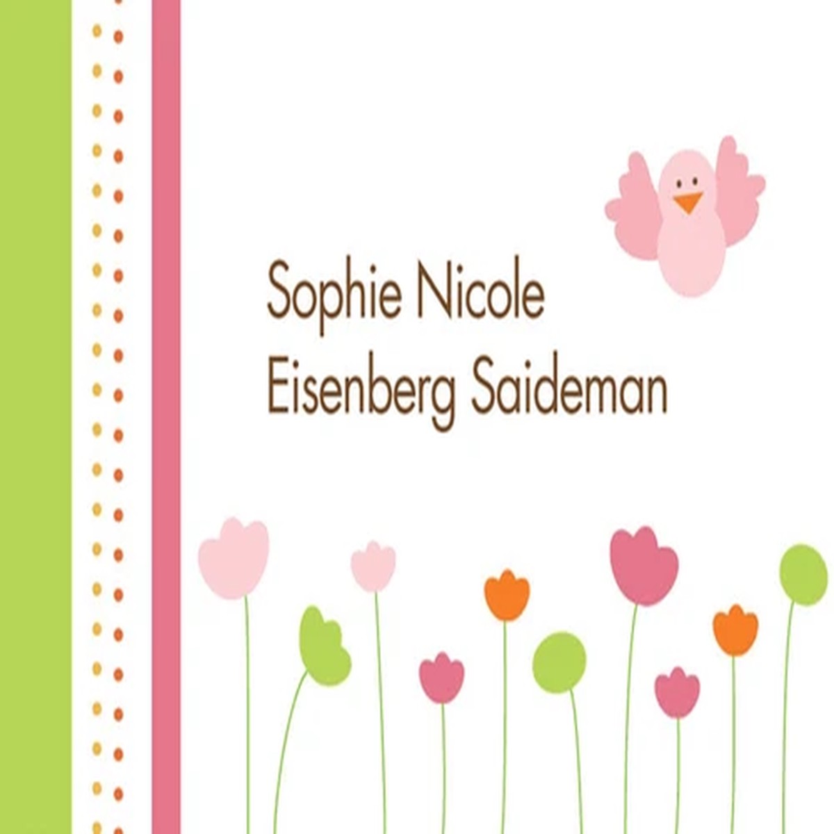 A Flight Over Tulips Gift Tag